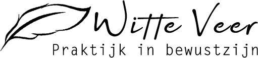 witteveer.nl Logo